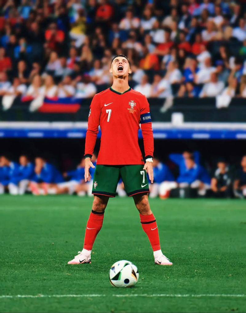 传递的运动 传递的运动