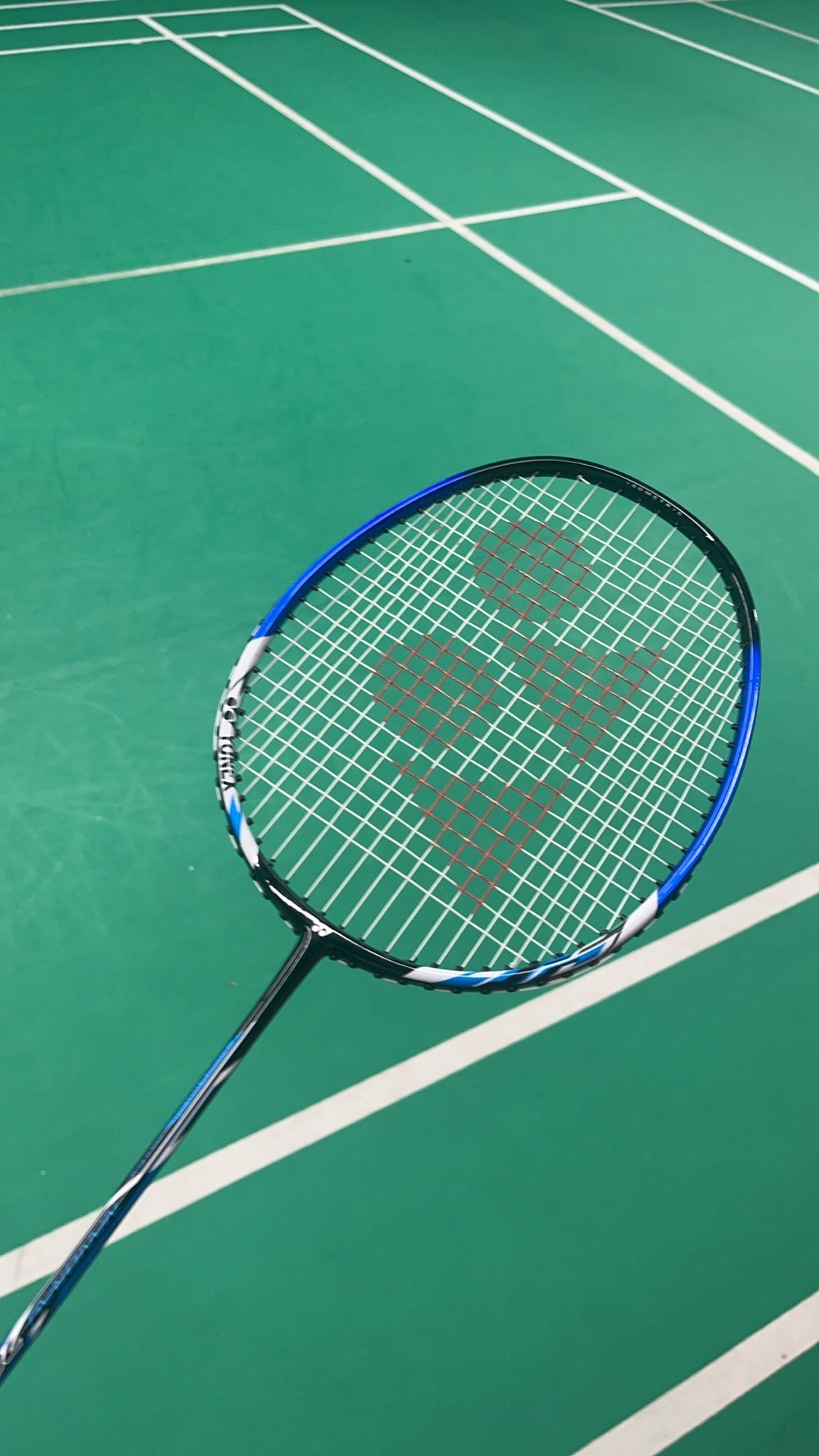 击群如本 击群如本