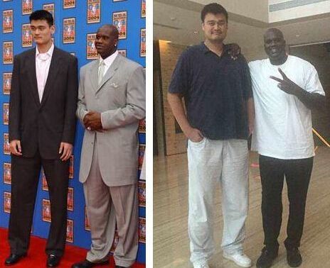 中后场的纵 中后场的纵